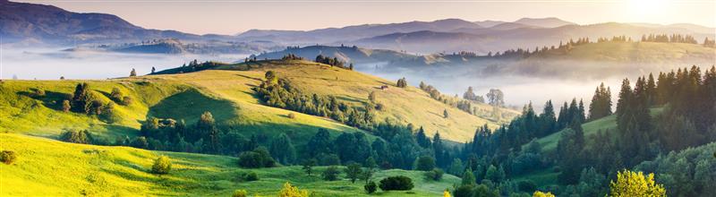 Landfleisch Landschaftsbild
