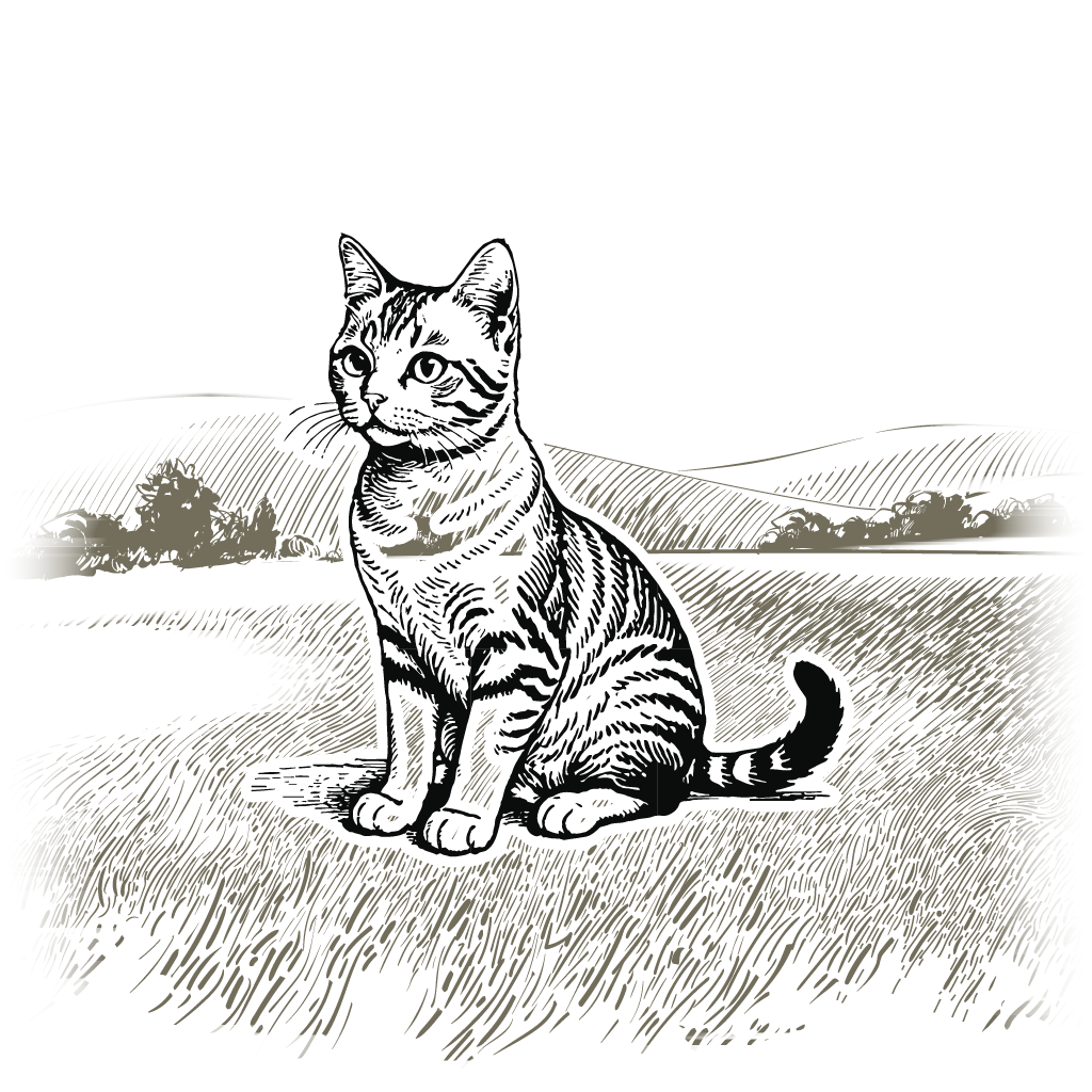 Landfleisch Katze sitzen vor Landschaft