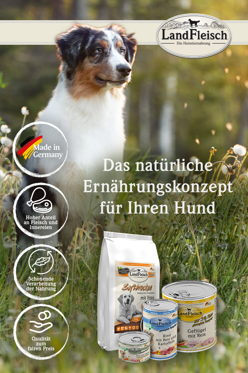 Landfleisch Teaser Das natürliche Ernährungskonzept für den Hund Hundefutter aus Deutschland Mobile
