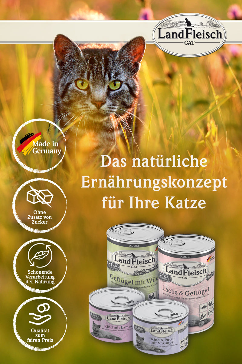 Landfleisch Teaser Das natürliche Ernährungskonzept für die Katze Katzenfutter aus Deutschland