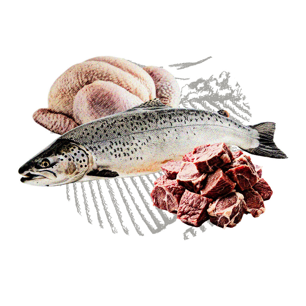 Landfleisch Zutat Proteinquellen