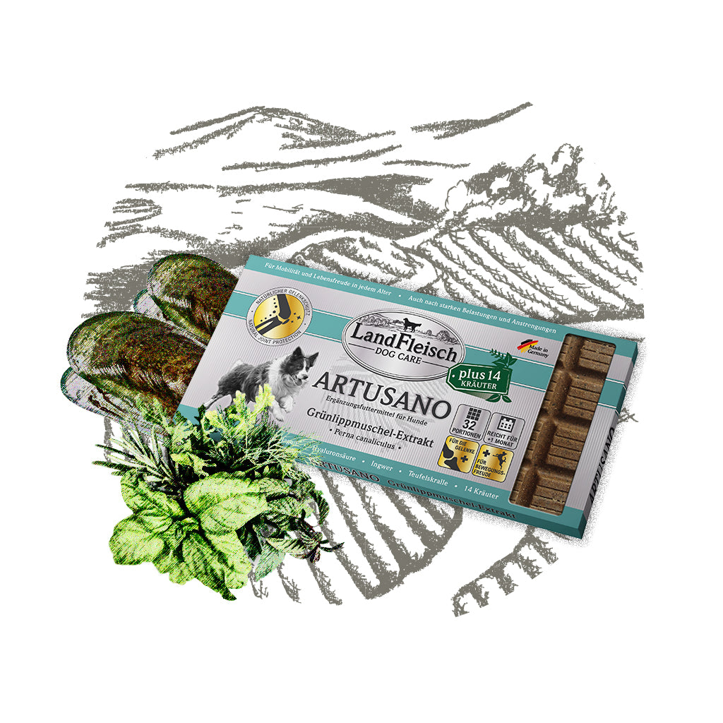 Landfleisch Hund Ergänzungsfutter Artusano mit 14 Kräutern Kategoriebild