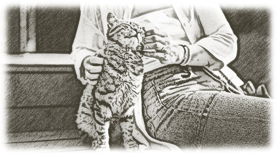 Landfleisch Katze Emotional Bank